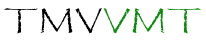 tmvvmt.com