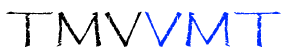 tmvvmt.com